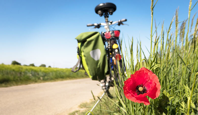 Un vélo garé le long de la Vélodyssée.